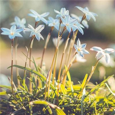 快彩乐首页手机app下载