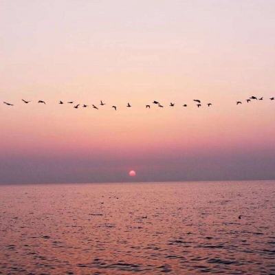 天天中彩票下载手机版