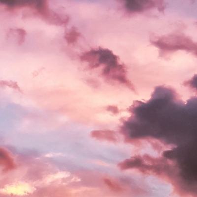 365平台下载手机版