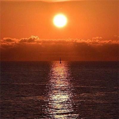 B体育手机版在线