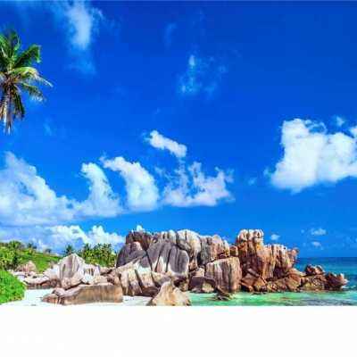 易火棋牌下载手机版